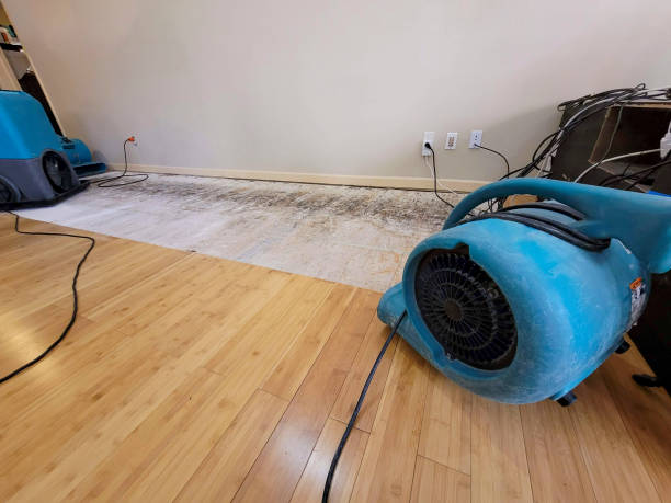 Professional Ceiling Water Damage Repair technician working in Creston, IL