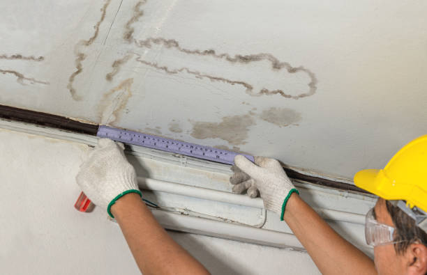 Affordable Ceiling Water Damage Repair solutions in Creston, IL